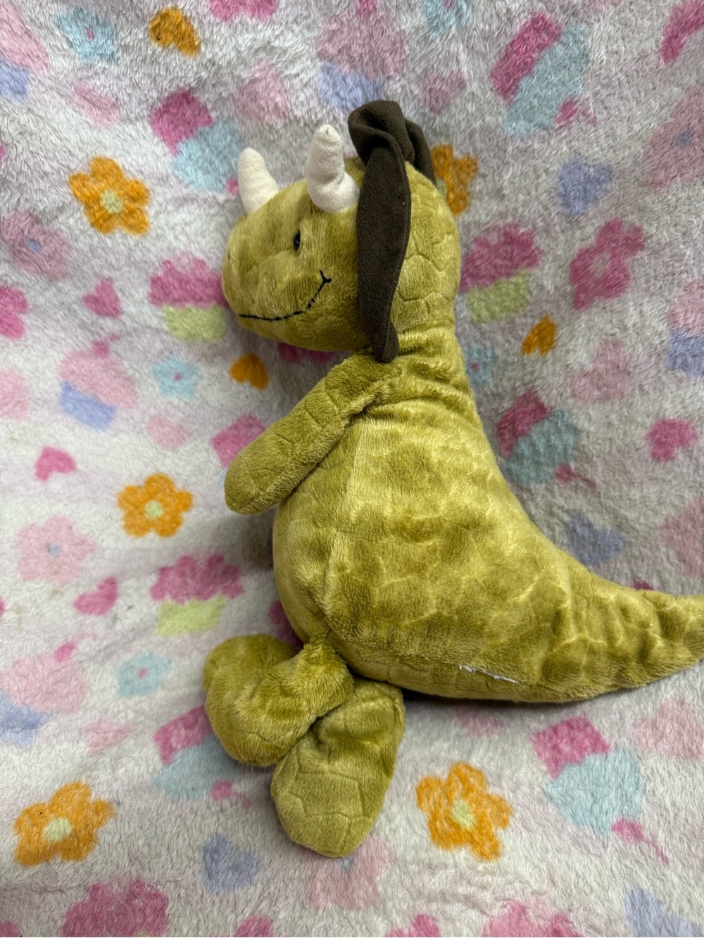 Reptile Subcategory Classification - Picture 3 of 5